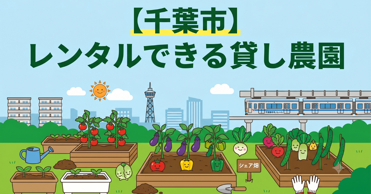 【千葉市】手ぶらでレンタル利用できる貸し畑・農園まとめ