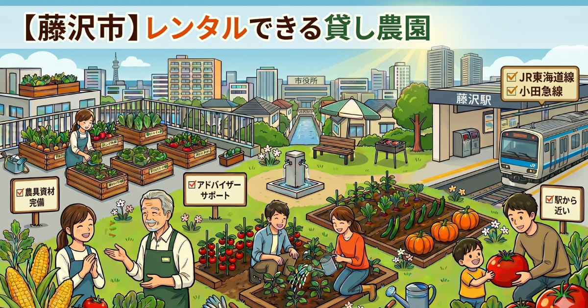 【藤沢市】手ぶらでレンタルできる貸し畑・農園まとめ