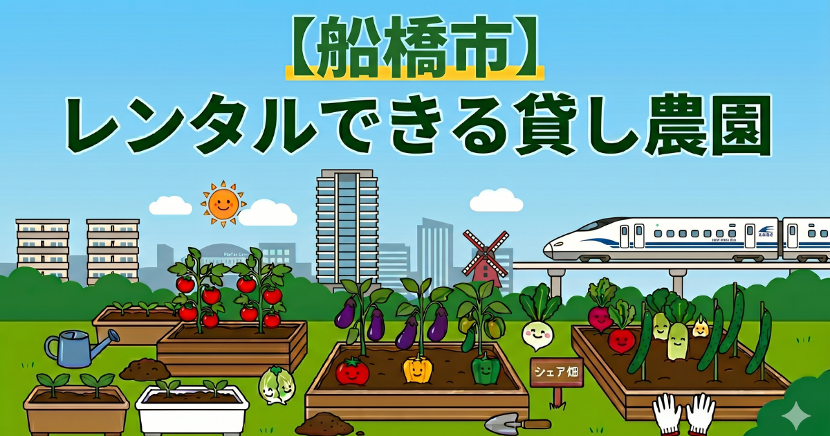 【船橋市】手ぶらでレンタル利用できる貸し畑・農園まとめ