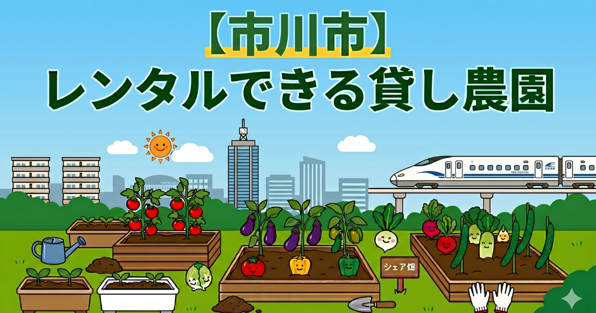 【市川市】手ぶらでレンタル利用できる貸し畑・農園まとめ