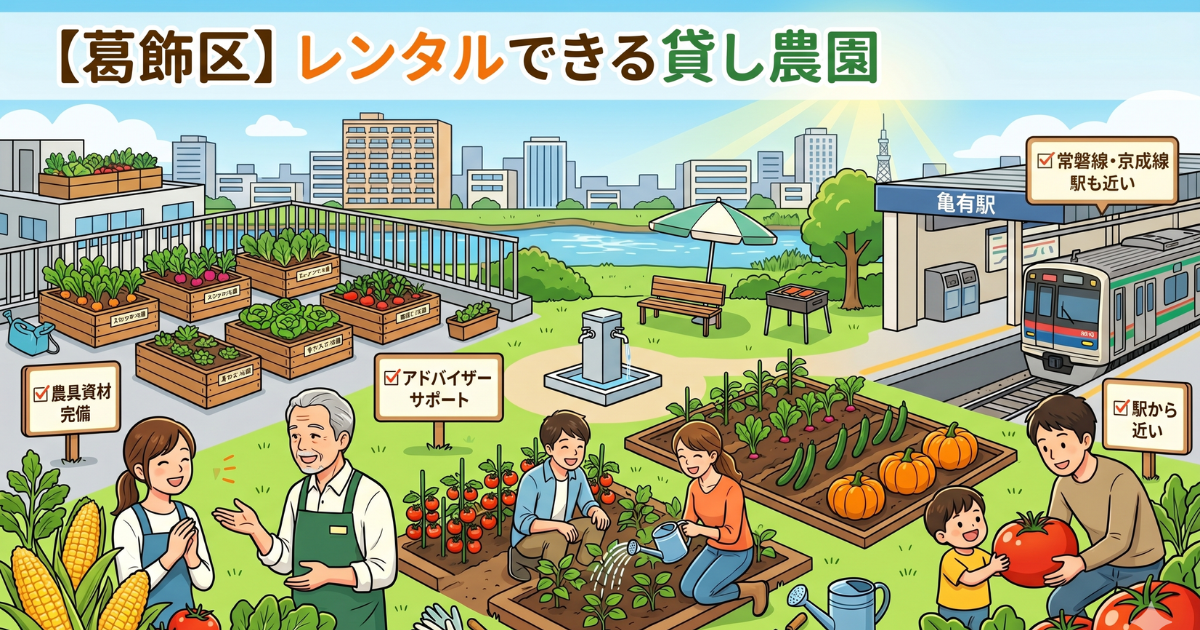 【葛飾区】レンタルできる貸し農園まとめ