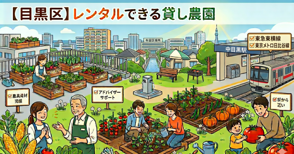 【目黒区】手ぶらでレンタルできる貸し畑・農園3選まとめ