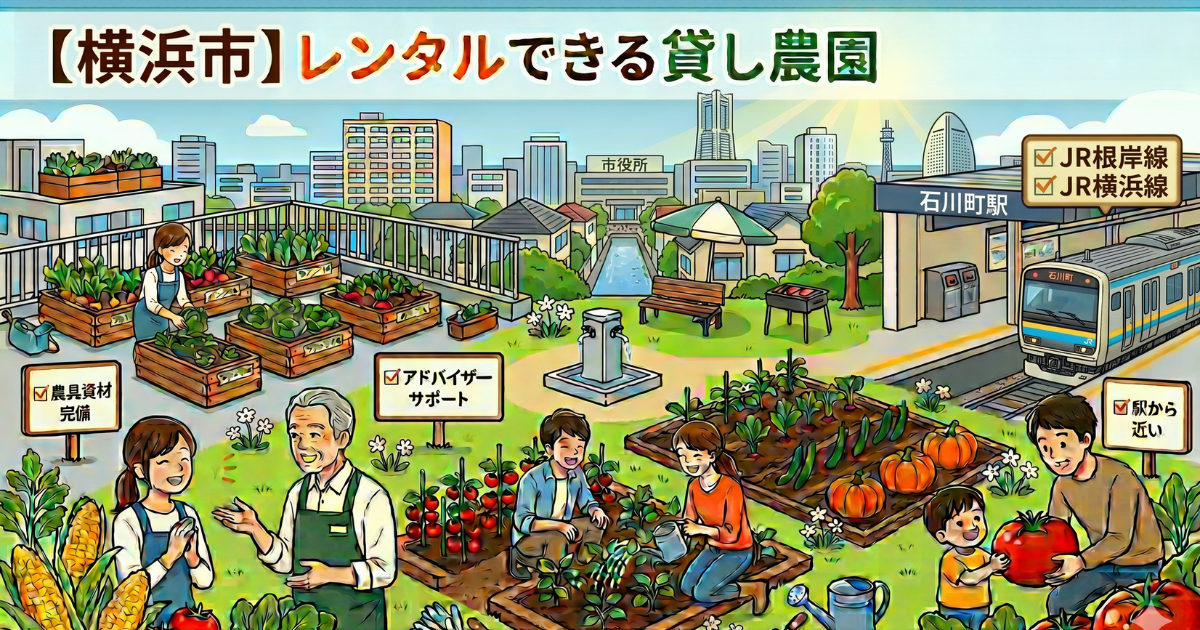 【横浜市】手ぶらでレンタルできる貸し畑・農園まとめ